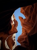 review-image