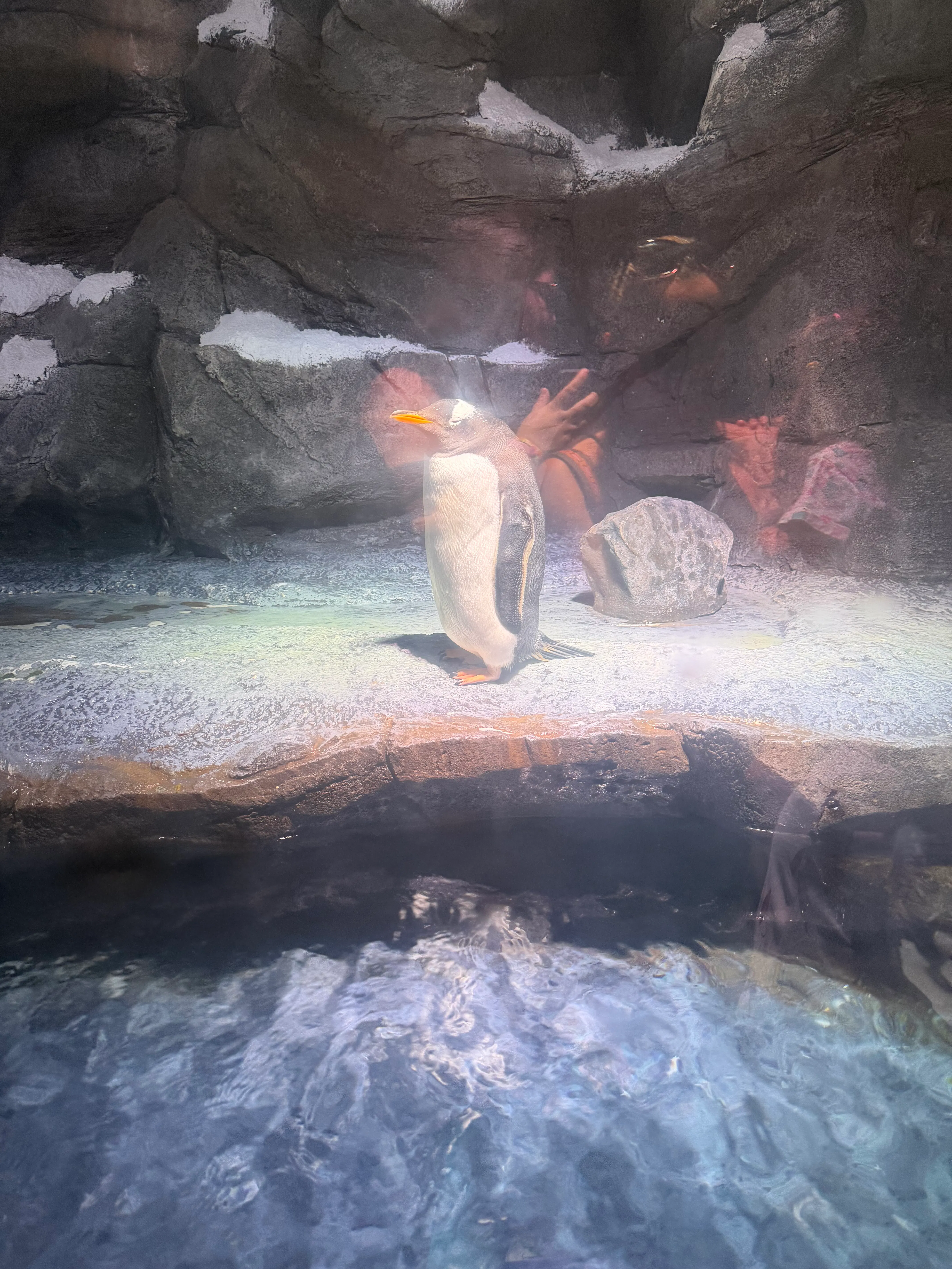 review-image