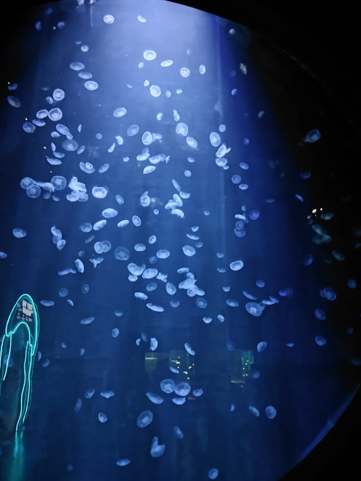 review-image