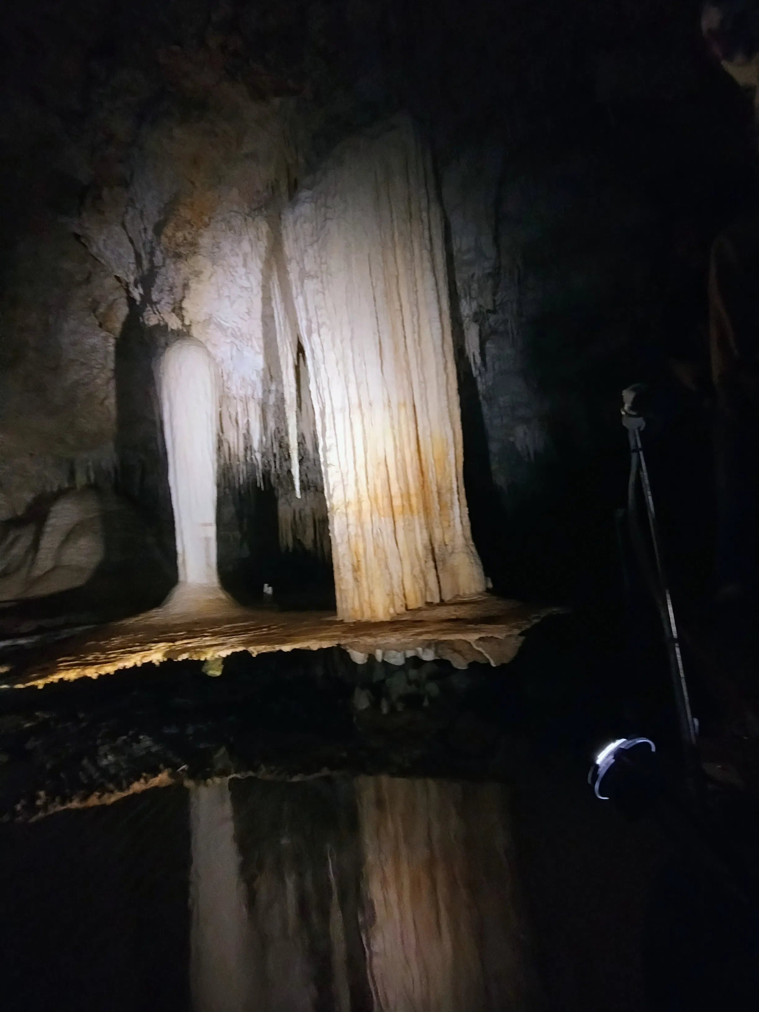 review-image